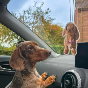 Personalised car air fresheners